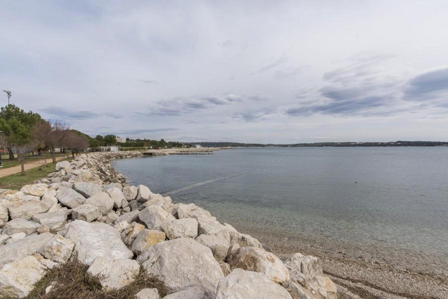 Apartment Zak Novigrad  ภายนอก รูปภาพ