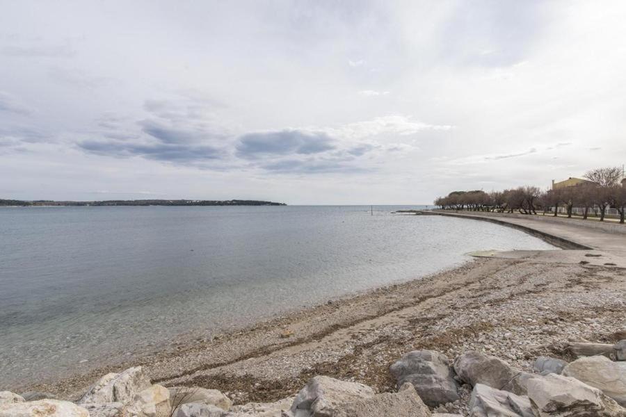 Apartment Zak Novigrad  ภายนอก รูปภาพ