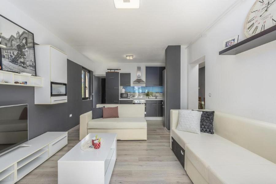 Apartment Zak Novigrad  ภายนอก รูปภาพ